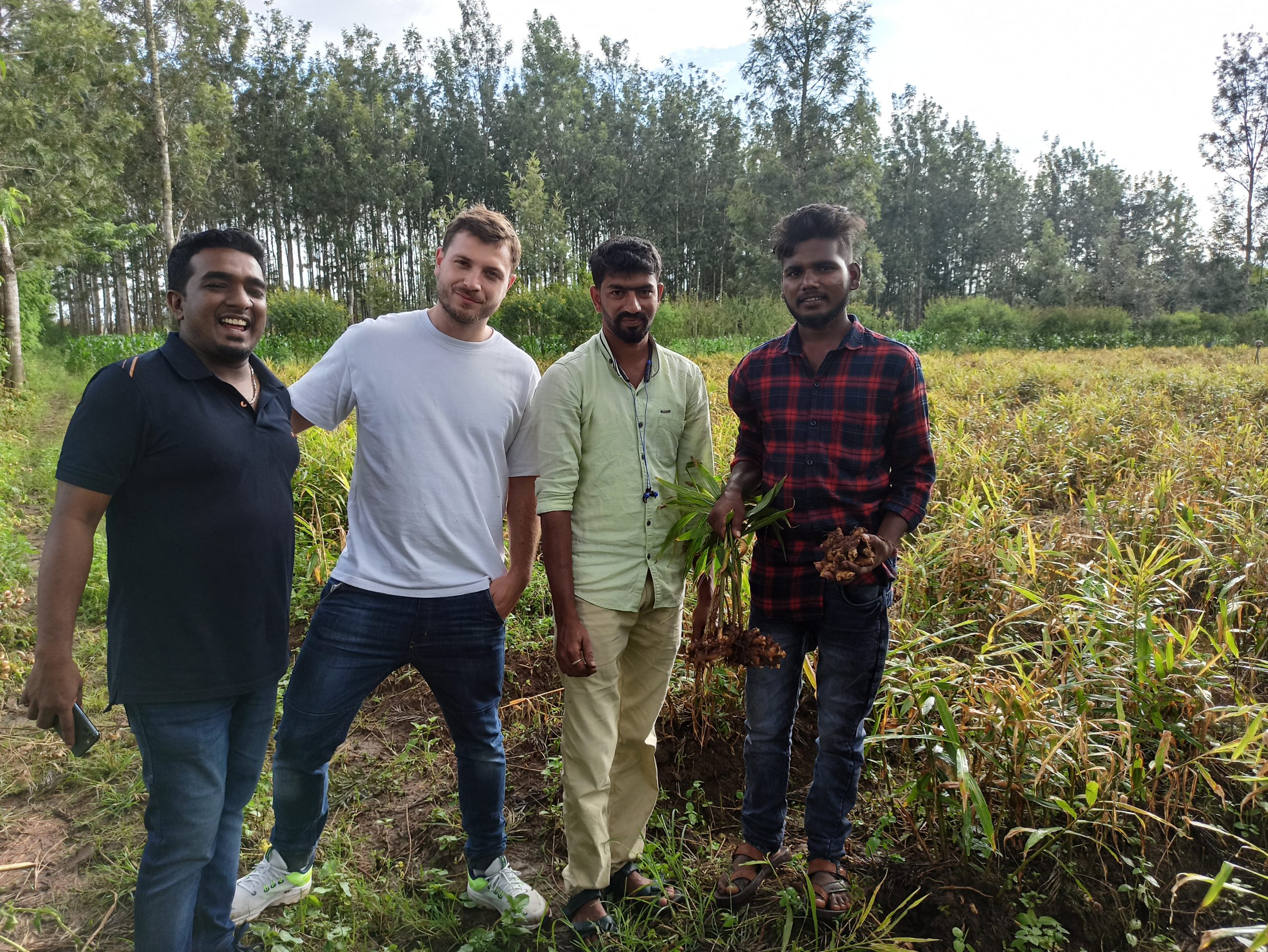 Amchur en poudre - Mangue verte séchée 5 Rencontre producteur amchur et curcuma