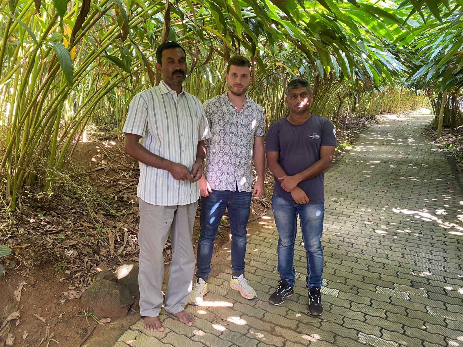 Graines de coriandre 3 Producteurs de coriandre
