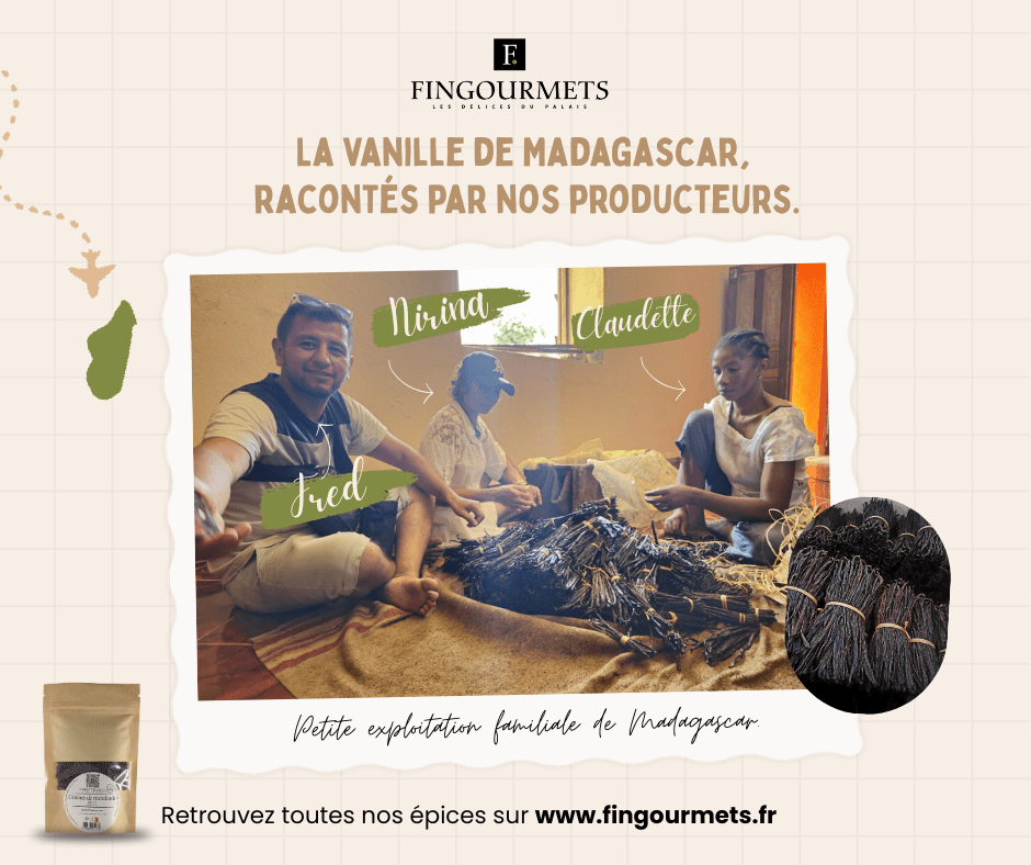La vanille de Madagascar : un voyage au cœur des saveurs authentiques | Voyages