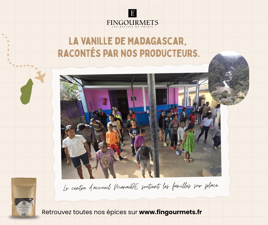 La vanille de Madagascar : un voyage au cœur des saveurs authentiques | Voyages